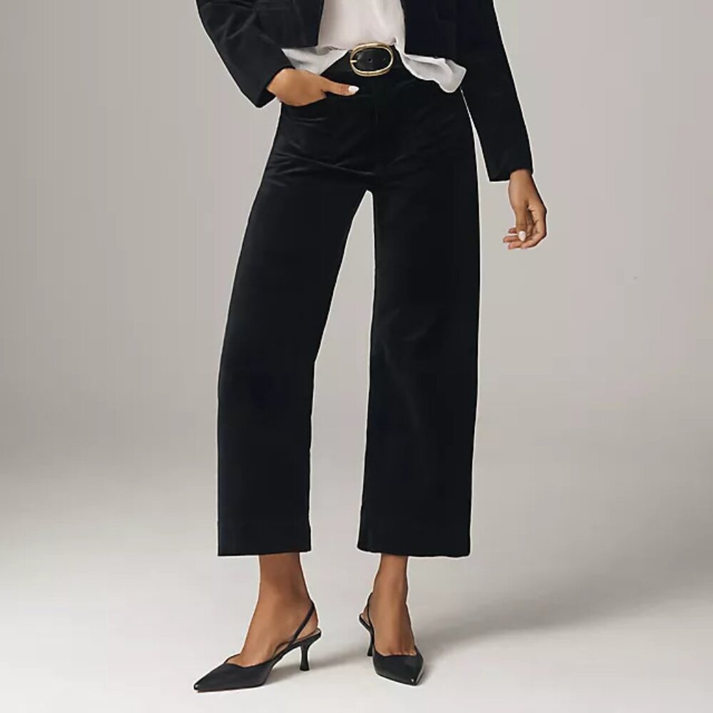 NWT Anthropologie Maeve 🤗VELVET Colette Cropped Wide-Leg Pants